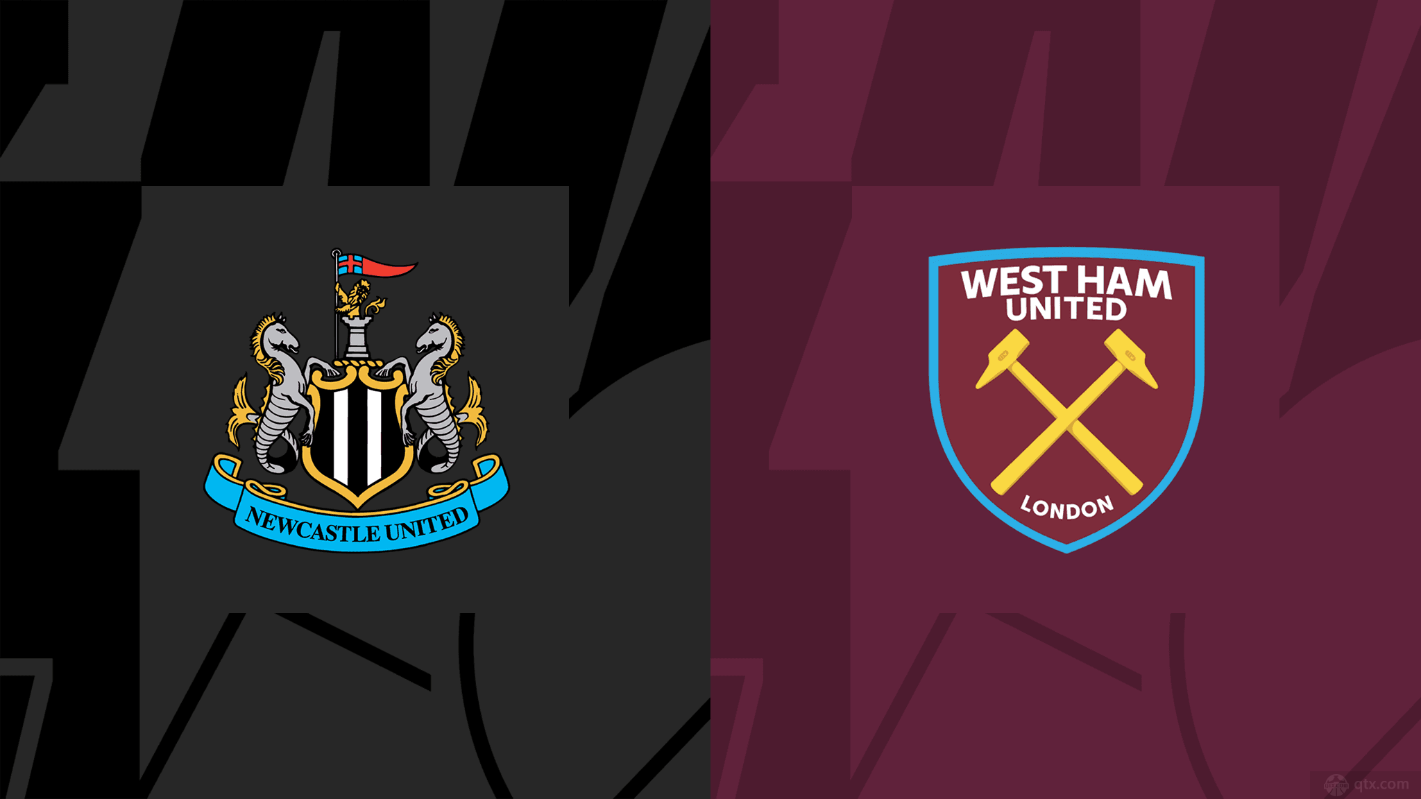 出现在我们 出现在我们